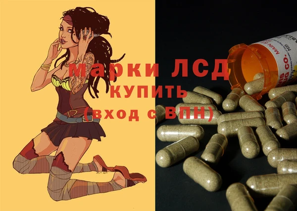 гидропоника Няндома