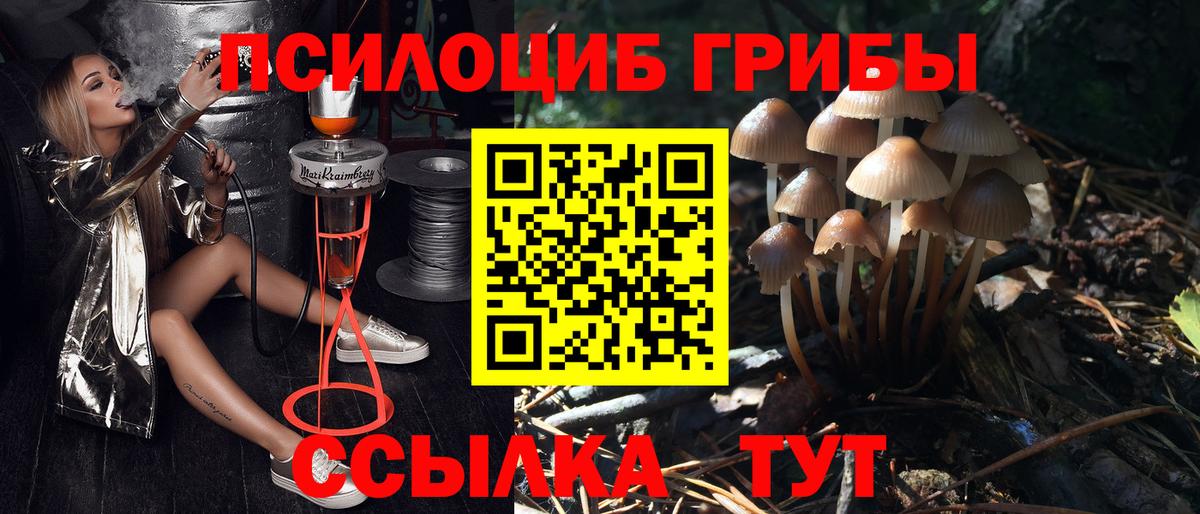 Псилоцибиновые грибы MAGIC MUSHROOMS Партизанск