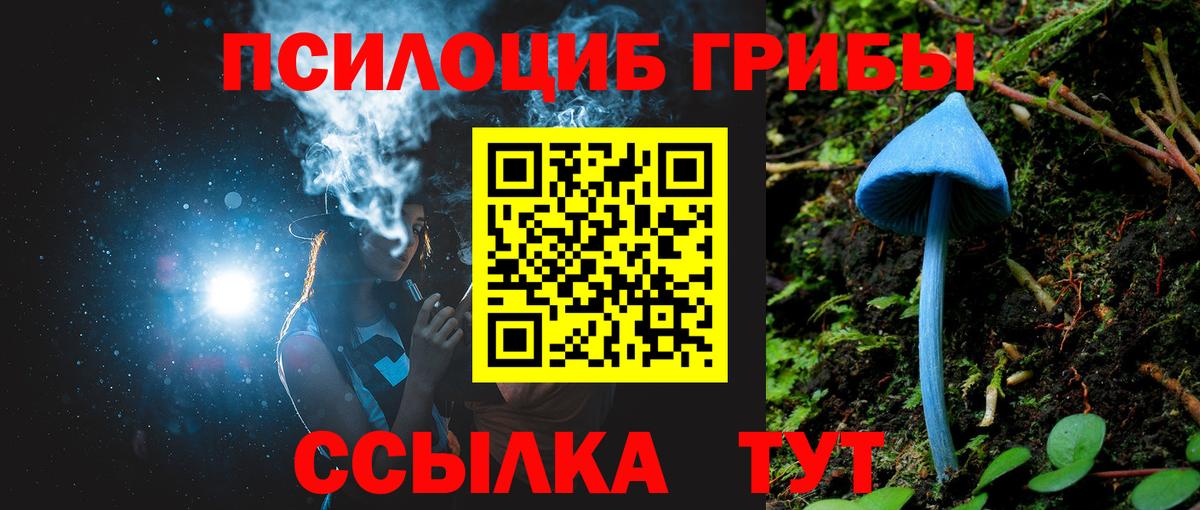Партизанск  Псилоцибиновые грибы GOLDEN TEACHER  Вход с VPN 